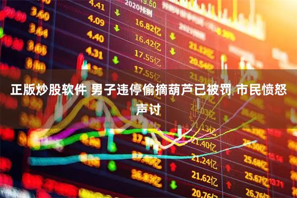 正版炒股软件 男子违停偷摘葫芦已被罚 市民愤怒声讨