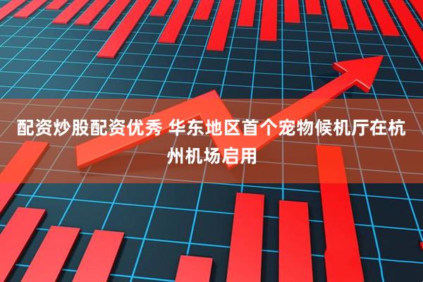 配资炒股配资优秀 华东地区首个宠物候机厅在杭州机场启用