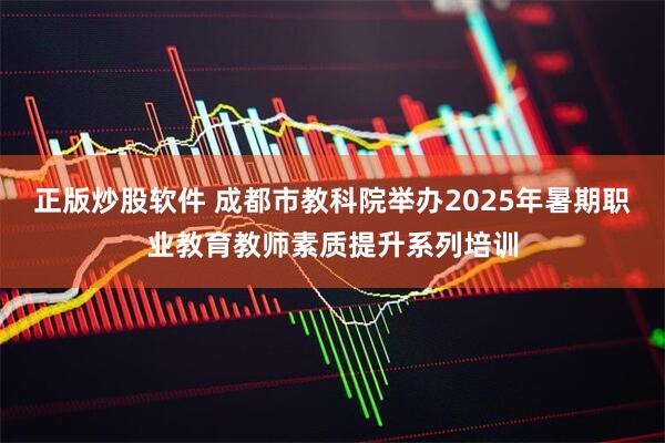 正版炒股软件 成都市教科院举办2025年暑期职业教育教师素质提升系列培训