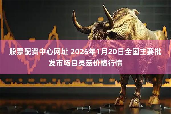 股票配资中心网址 2026年1月20日全国主要批发市场白灵菇价格行情